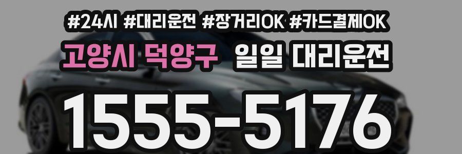 고양시 덕양구 일일 대리운전