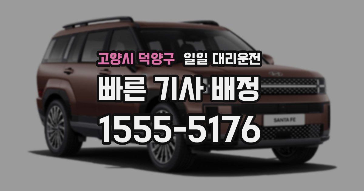 고양시 덕양구 일일 대리운전