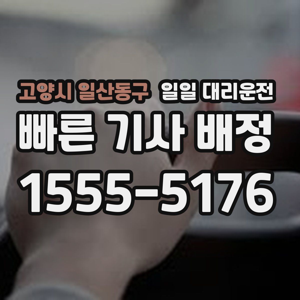 고양시 일산동구 일일 대리운전
