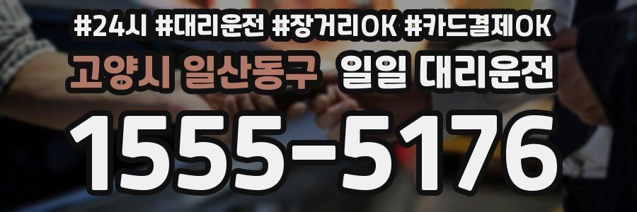 고양시 일산동구 일일 대리운전
