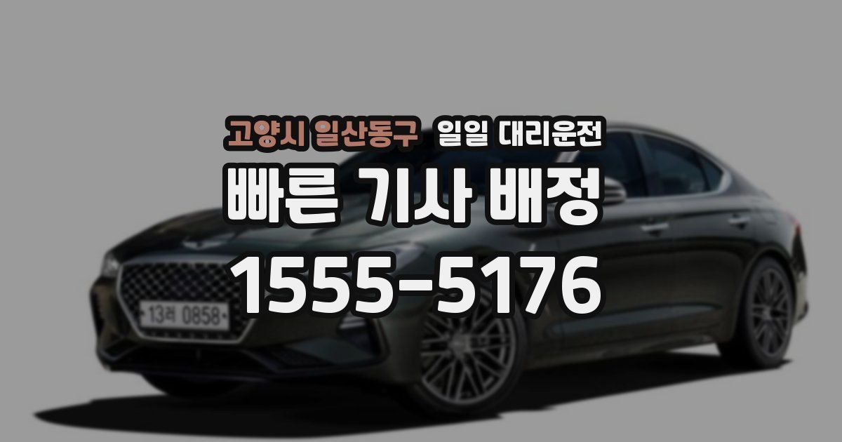 고양시 일산동구 일일 대리운전