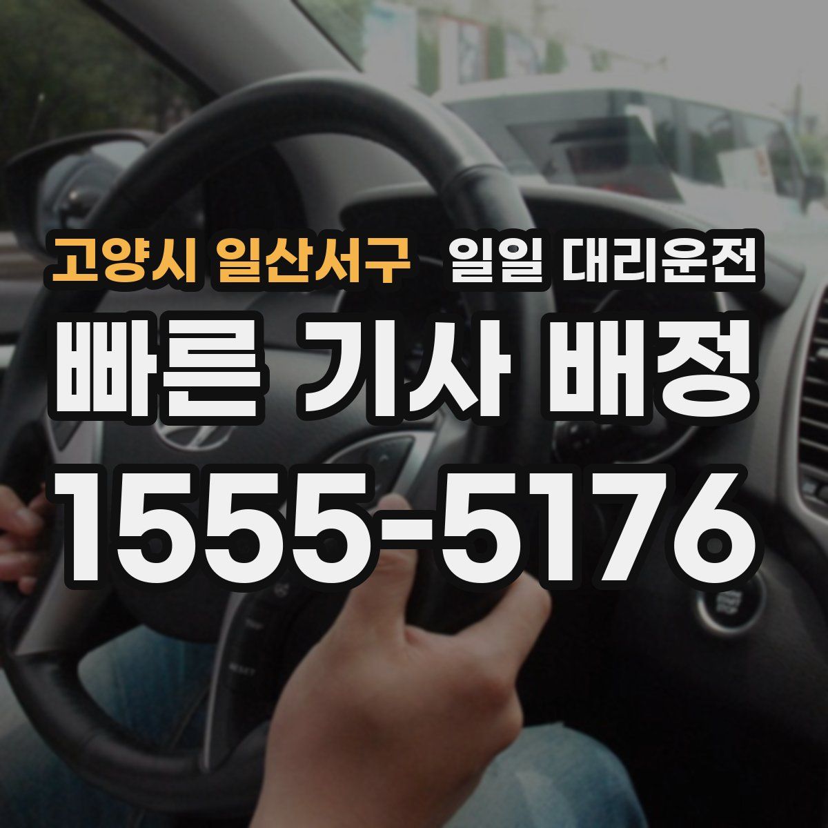 고양시 일산서구 일일 대리운전