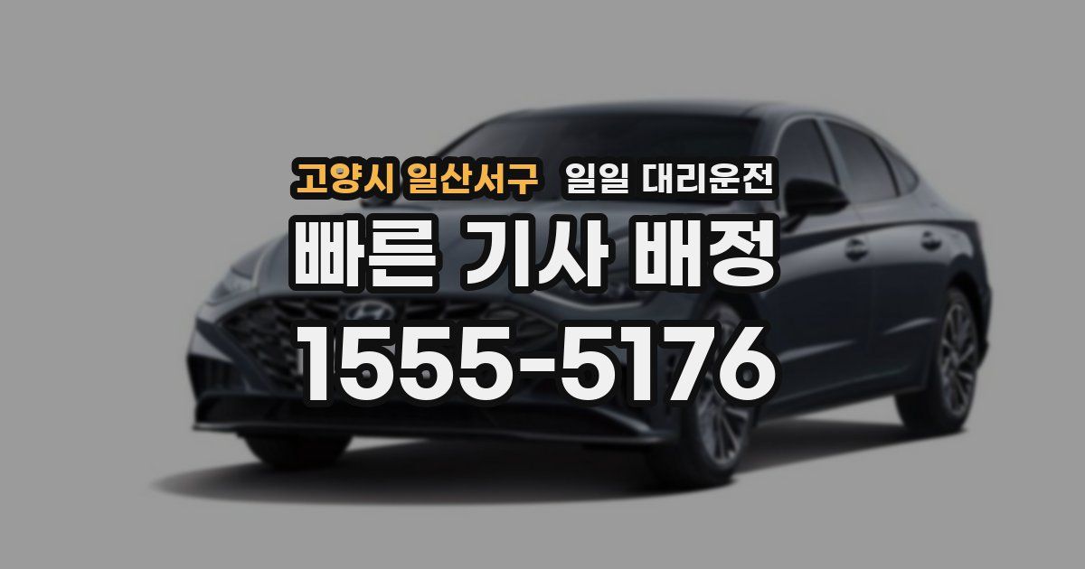 고양시 일산서구 일일 대리운전