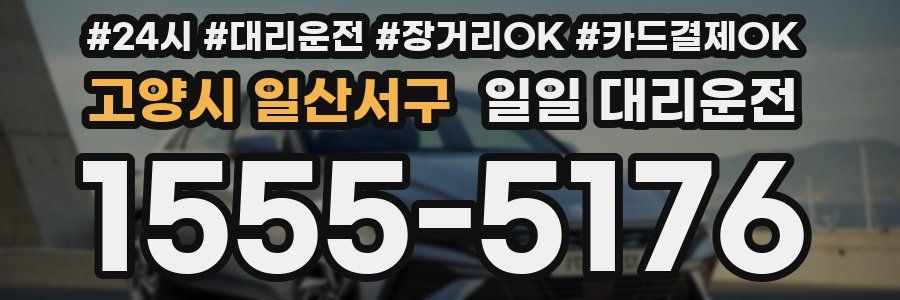 고양시 일산서구 일일 대리운전