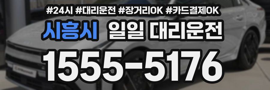 시흥시 일일 대리운전
