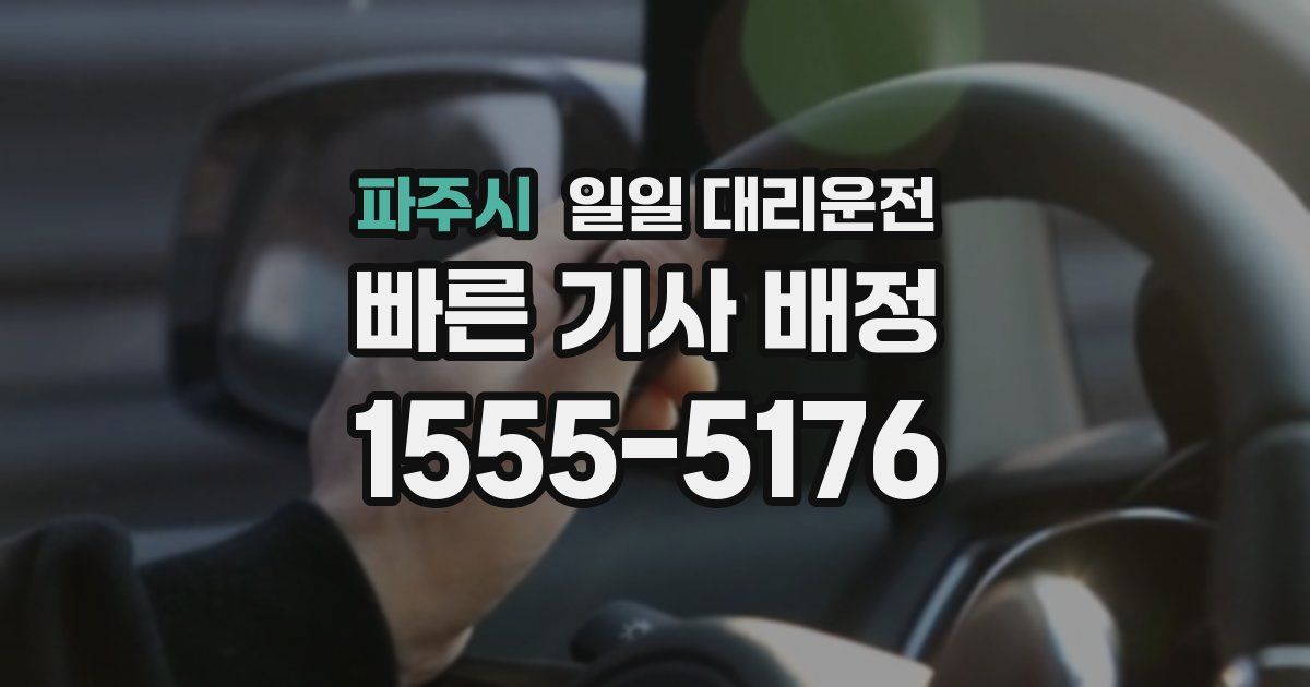 파주시 일일 대리운전