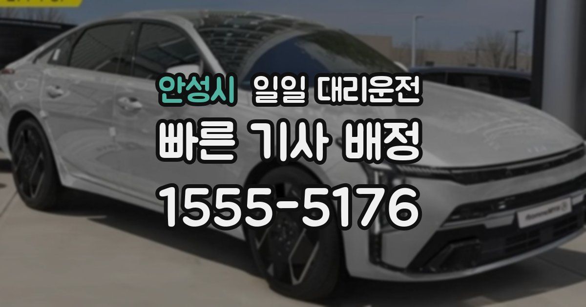 안성시 일일 대리운전