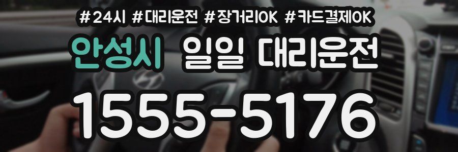 안성시 일일 대리운전