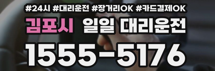 김포시 일일 대리운전
