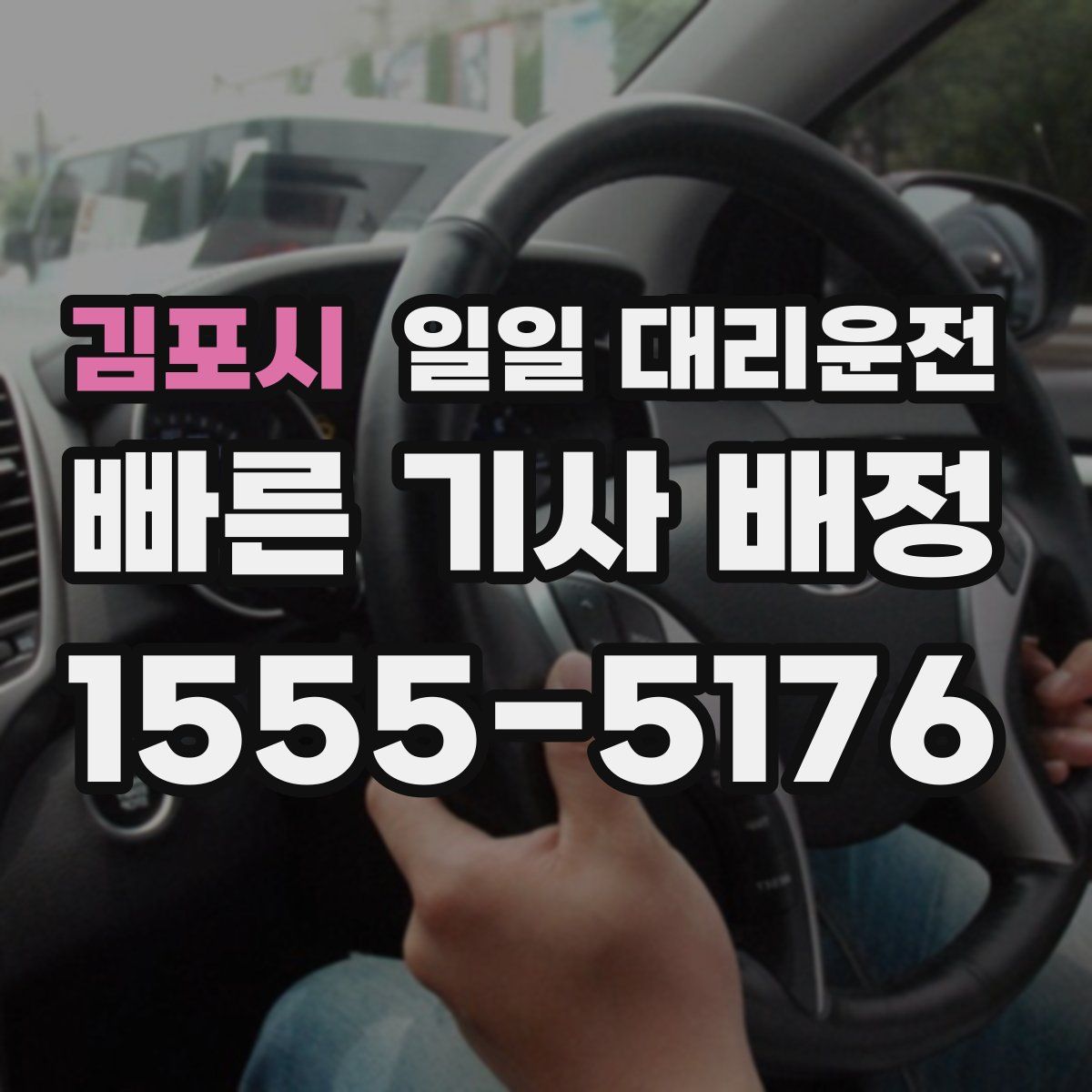 김포시 일일 대리운전