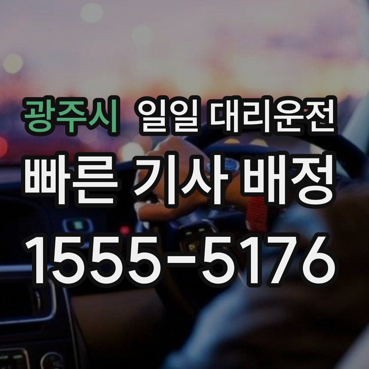 광주시 일일 대리운전