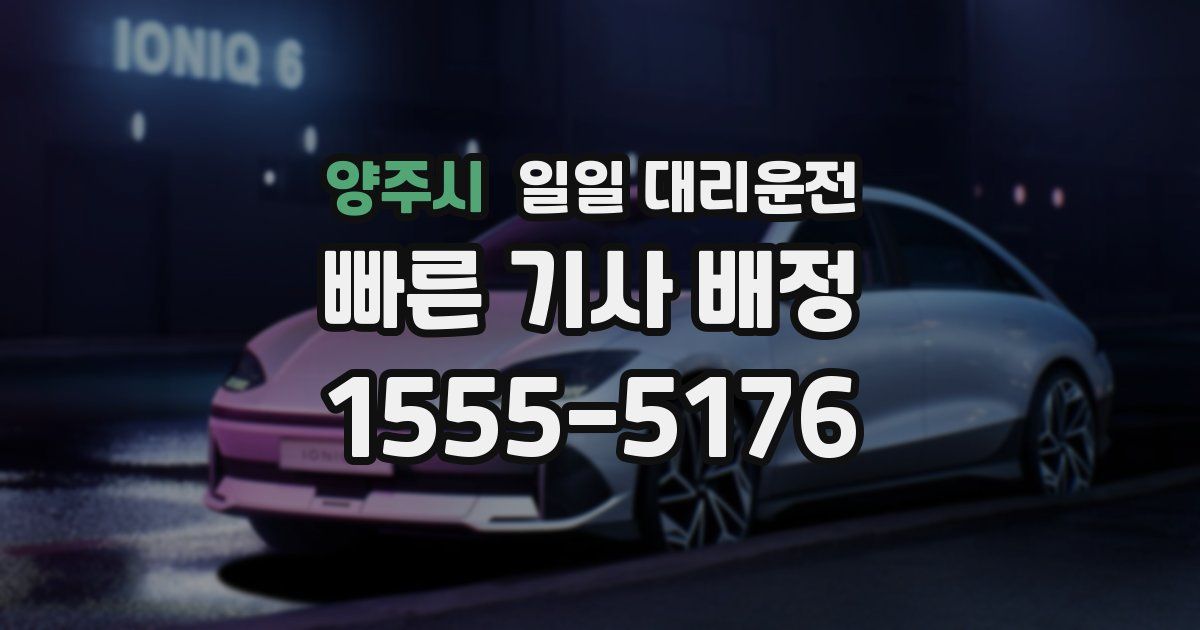 양주시 일일 대리운전