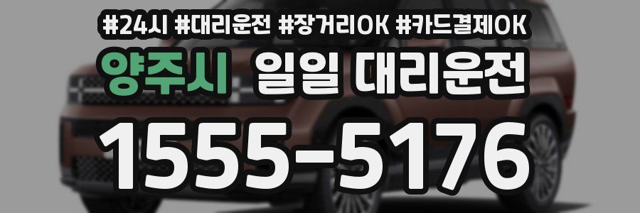 양주시 일일 대리운전