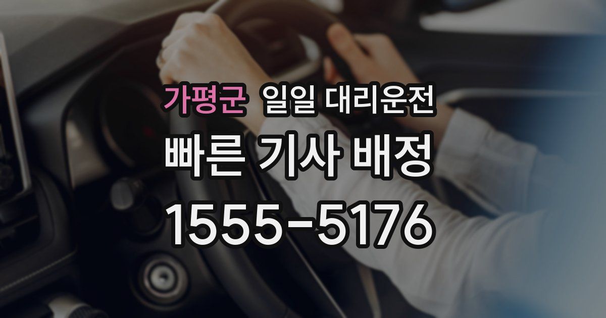 가평군 일일 대리운전