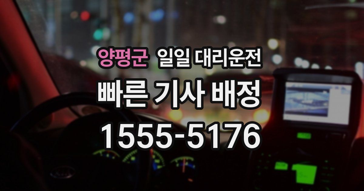 양평군 일일 대리운전