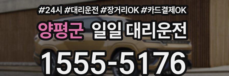 양평군 일일 대리운전
