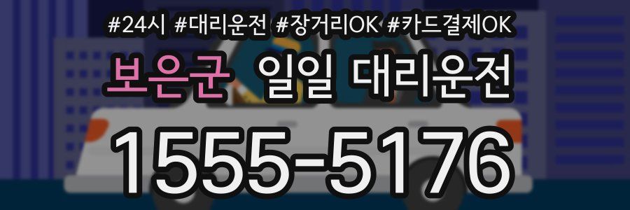 보은군 일일 대리운전