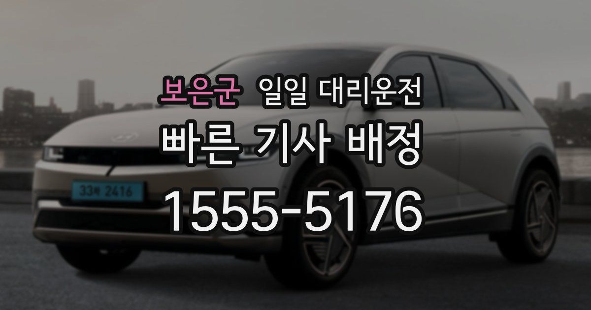 보은군 일일 대리운전