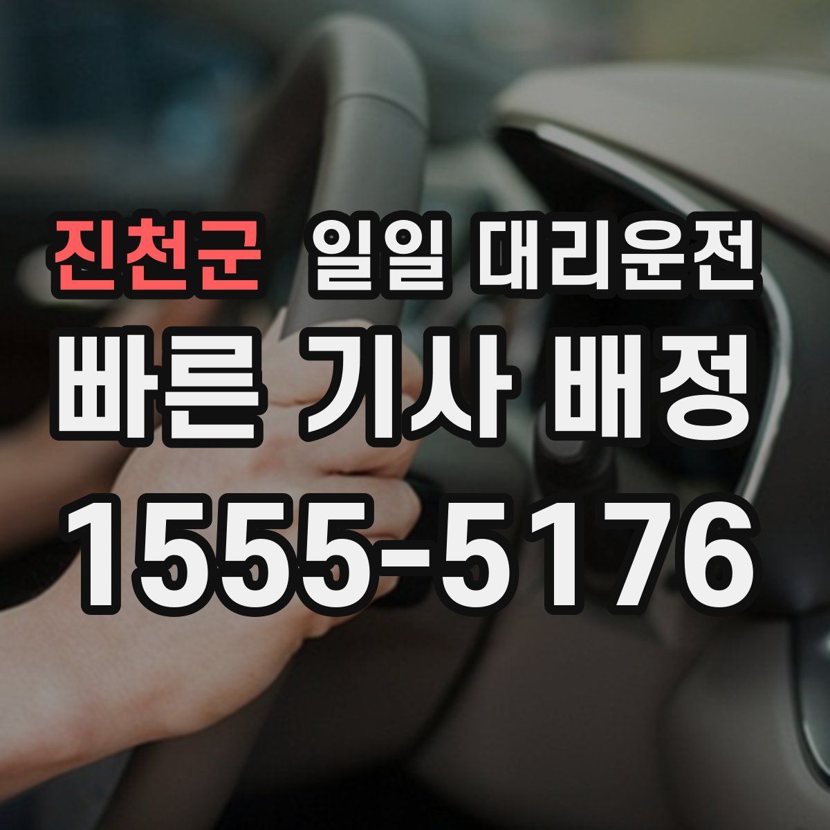 진천군 일일 대리운전