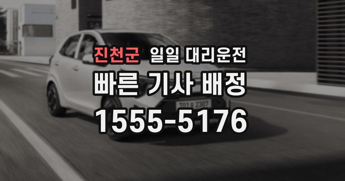 진천군 일일 대리운전