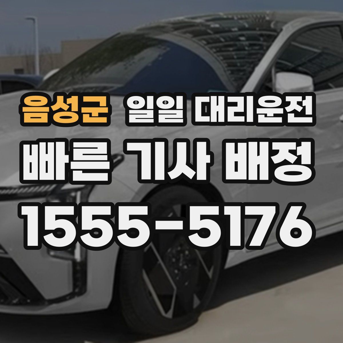 음성군 일일 대리운전