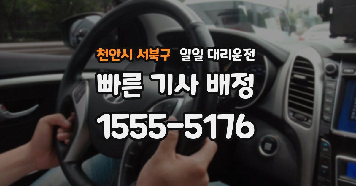천안시 서북구 일일 대리운전