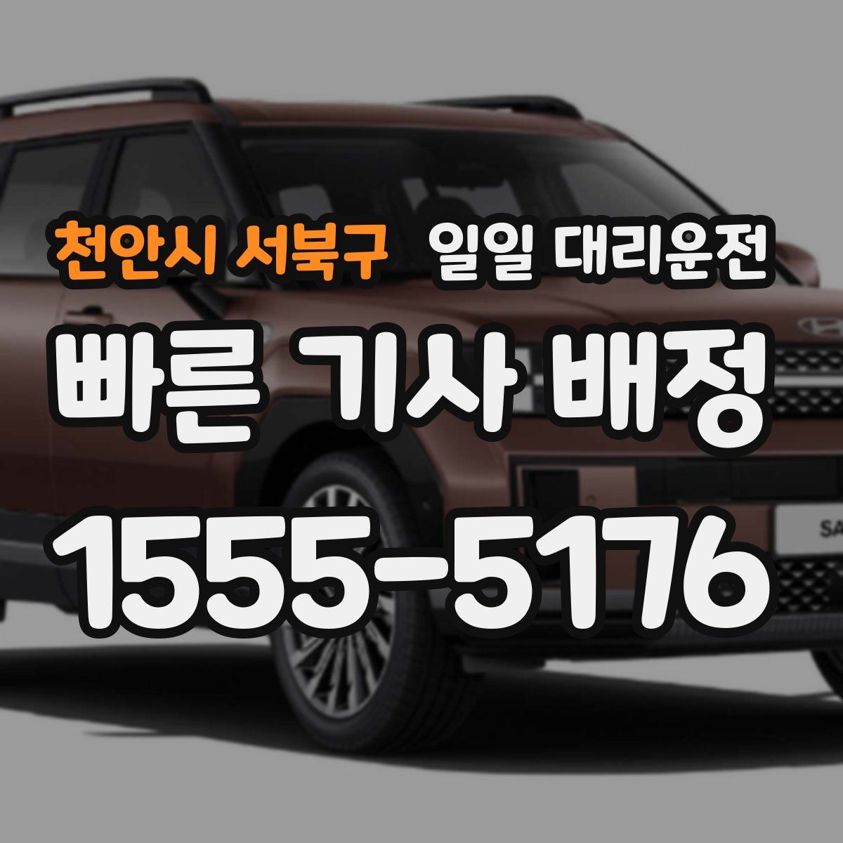 천안시 서북구 일일 대리운전