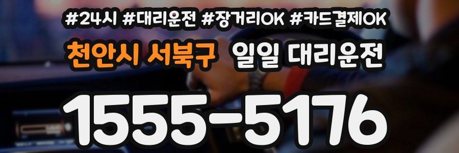 천안시 서북구 일일 대리운전