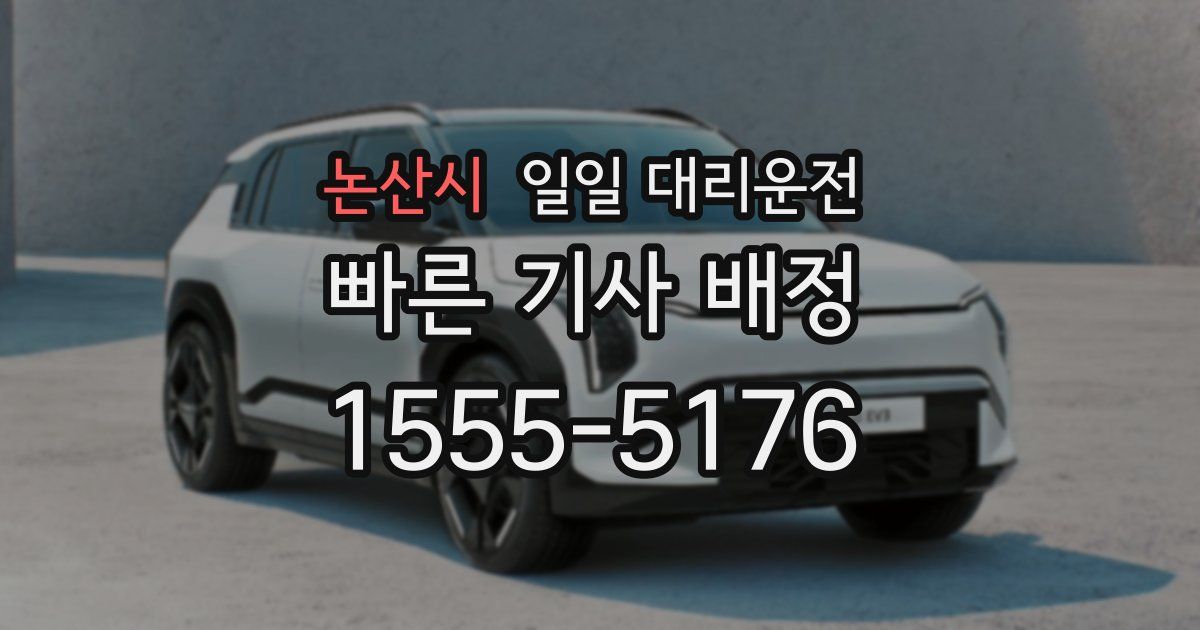 논산시 일일 대리운전