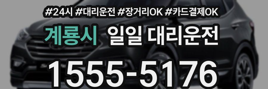계룡시 일일 대리운전