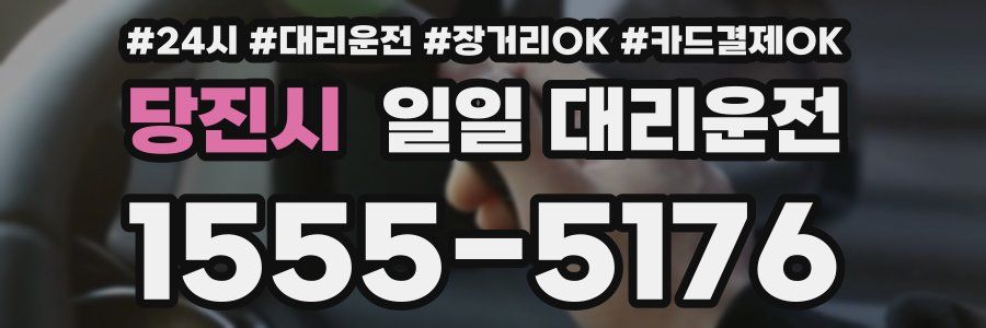 당진시 일일 대리운전