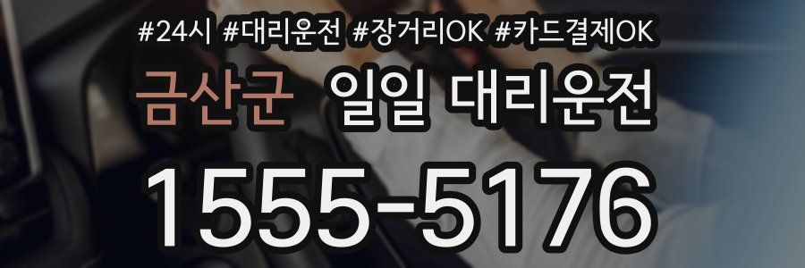 금산군 일일 대리운전