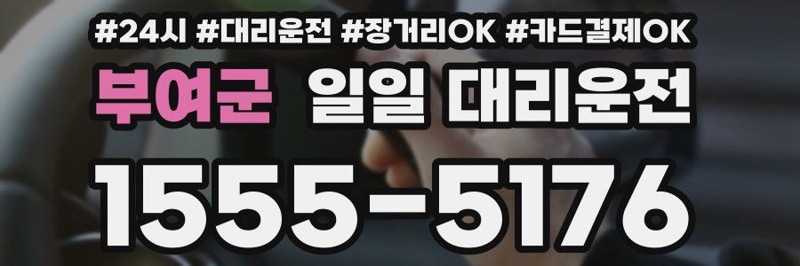 부여군 일일 대리운전