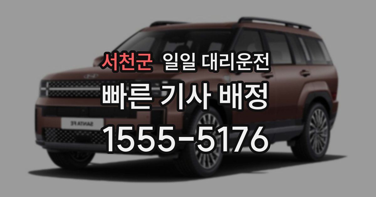 서천군 일일 대리운전