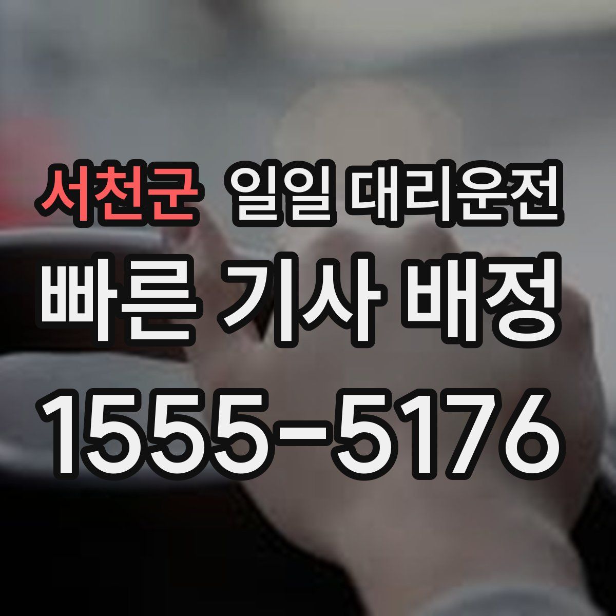서천군 일일 대리운전
