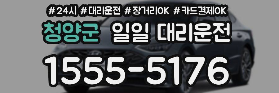 청양군 일일 대리운전