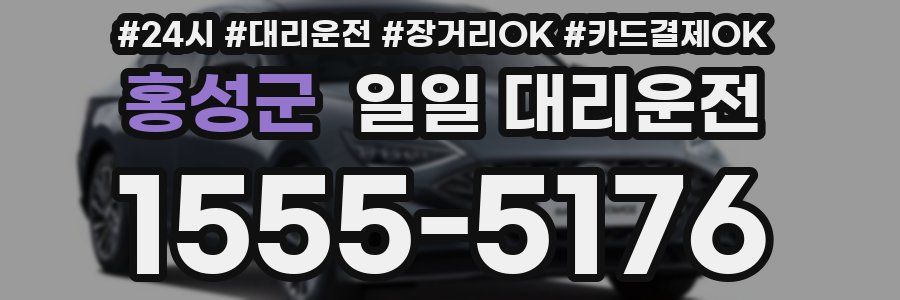 홍성군 일일 대리운전
