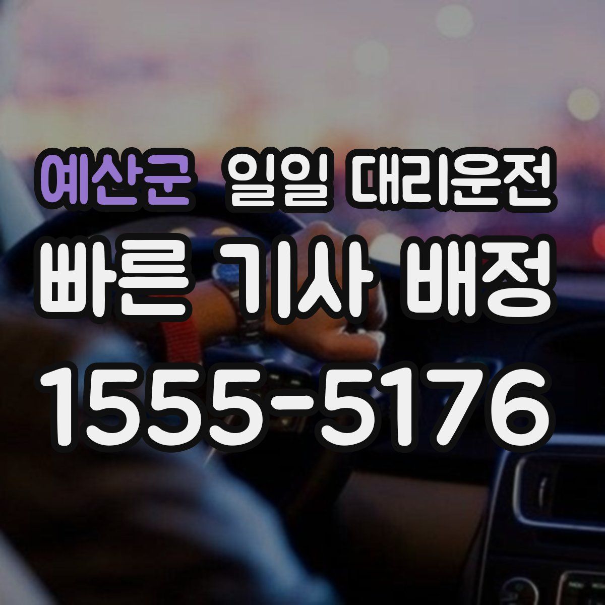 예산군 일일 대리운전