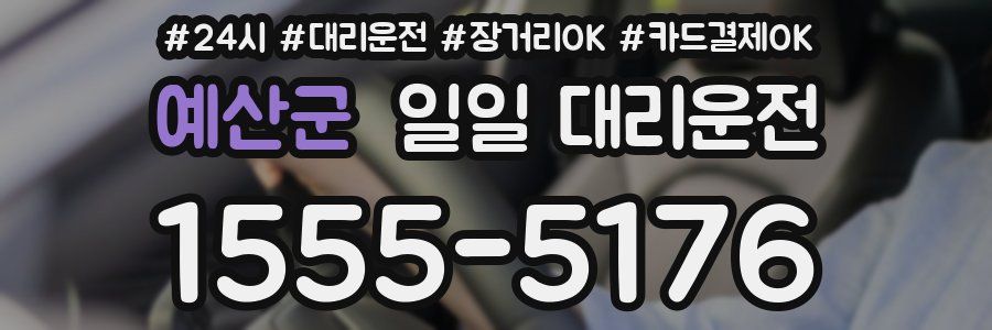 예산군 일일 대리운전