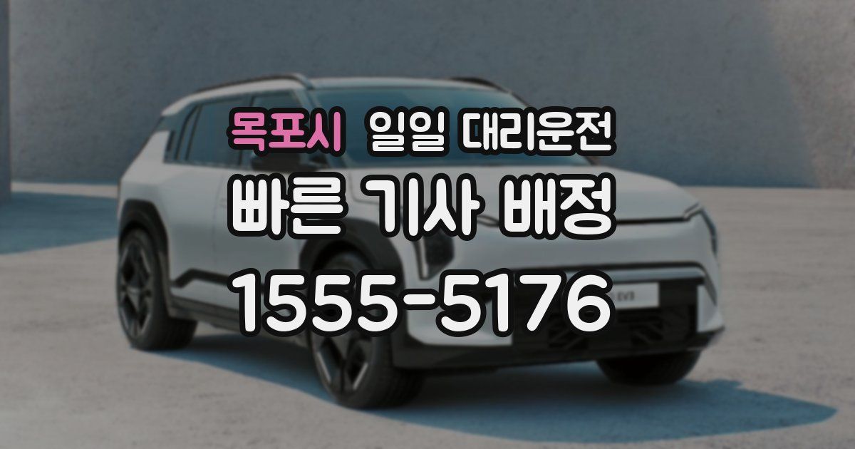 목포시 일일 대리운전