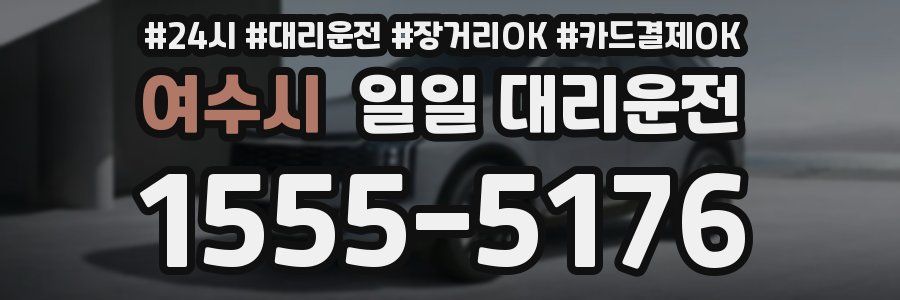 여수시 일일 대리운전
