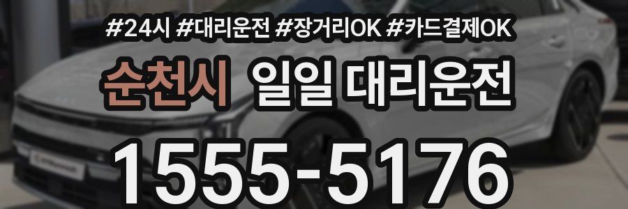 순천시 일일 대리운전