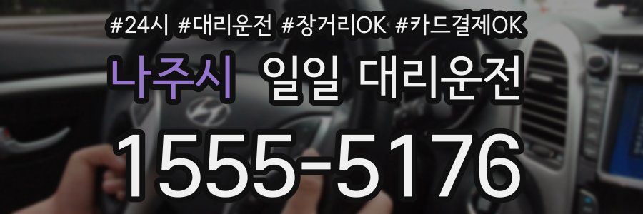 나주시 일일 대리운전