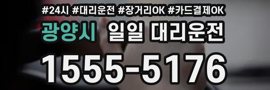 광양시 일일 대리운전