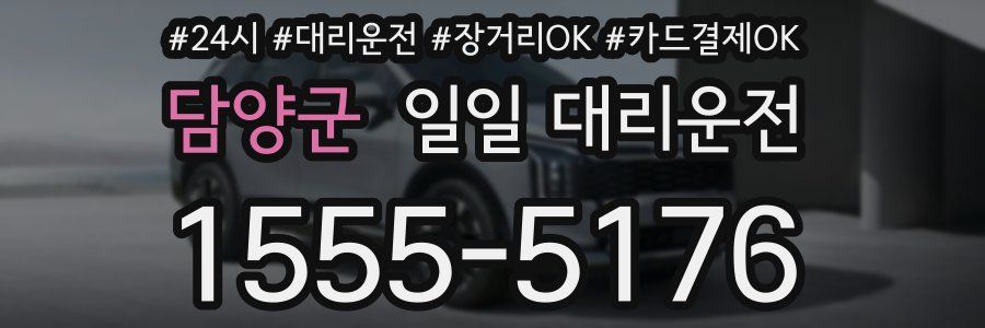 담양군 일일 대리운전