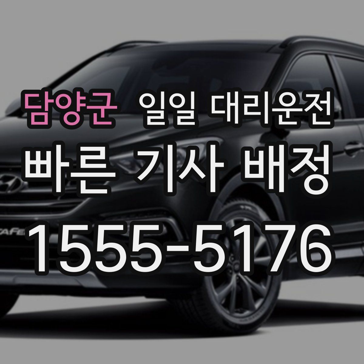 담양군 일일 대리운전
