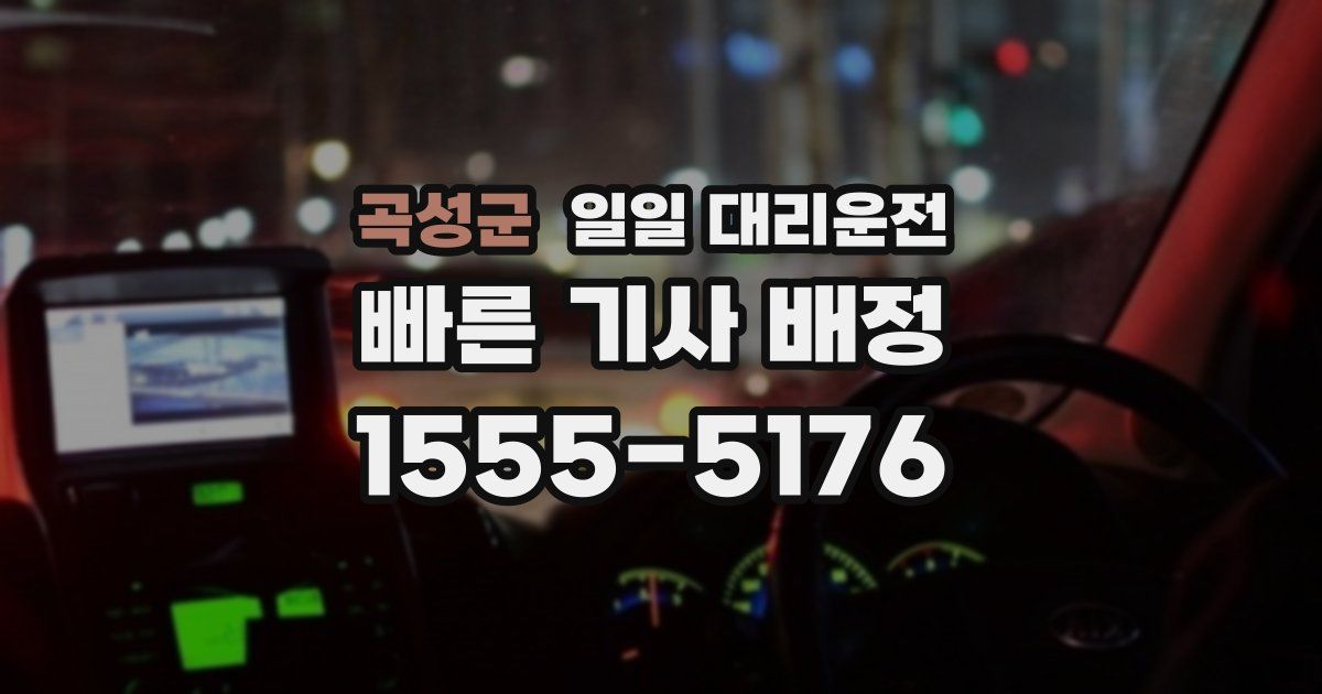 곡성군 일일 대리운전