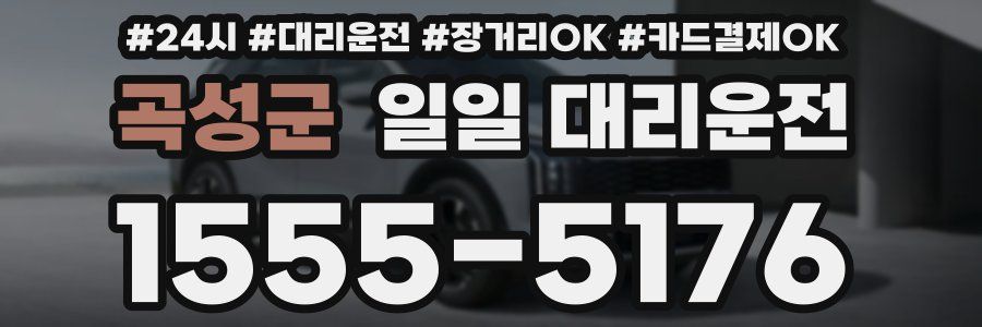 곡성군 일일 대리운전