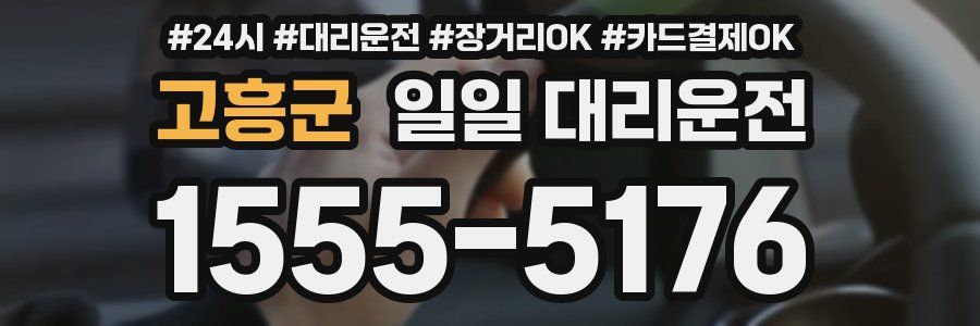 고흥군 일일 대리운전