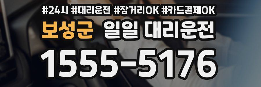 보성군 일일 대리운전